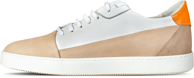 shoe 00